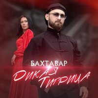 Бахтавар - Дикая тигрица (KalashnikoFF Mix) слушать песню