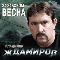 Владимир Ждамиров - Душевный привет слушать песню