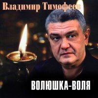 Владимир Тимофеев - Сибирские лагеря слушать песню