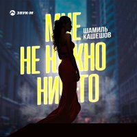 Шамиль Кашешов - Мне не нужно ничего слушать песню