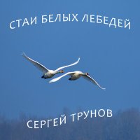 Сергей Трунов - Стаи белых лебедей слушать песню