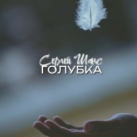 Сергей Шанс - Голубка слушать песню