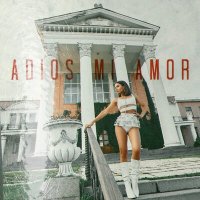 Lil Kate - Adios Mi Amor слушать песню