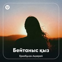 Еркебұлан Ақкерей - Бейтаныс қыз слушать песню