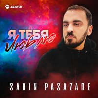 Sahin Pasazade - Я тебя люблю слушать песню