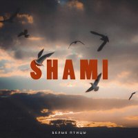 SHAMI - Белые птицы слушать песню