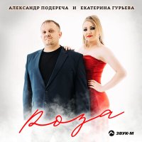 Александр Подереча, Екатерина Гурьева - Роза слушать песню