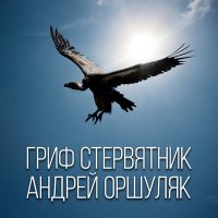 Андрей Оршуляк - Два огня слушать песню
