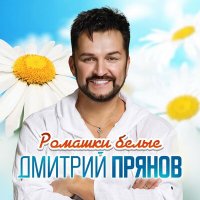 Дмитрий Прянов - Ромашки белые слушать песню