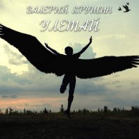 Валерий Ярушин - Февральский блюз слушать песню