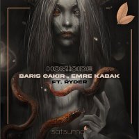 Barış Çakır, Emre Kabak, Ryder - Homicide слушать песню