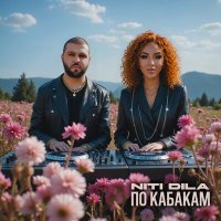 NITI DILA - По кабакам слушать песню