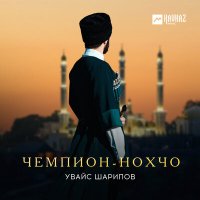 Увайс Шарипов - Чемпион-Нохчо слушать песню