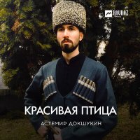 Астемир Докшукин - Красивая птица слушать песню