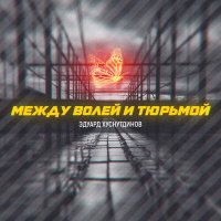 Эдуард Хуснутдинов - Между волей и тюрьмой слушать песню