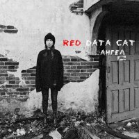 Red Data Cat - Ангел слушать песню