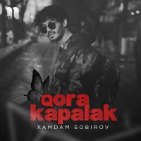 Хамдам Собиров - Qora Kapalak слушать песню