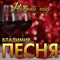 Владимир Песня - Новый год слушать песню