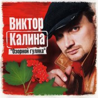 Виктор Калина - Душечка слушать песню