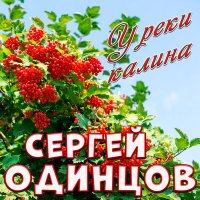 Сергей Одинцов - У реки калина слушать песню