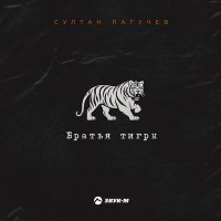 Султан Лагучев - Братья тигры слушать песню