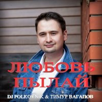 Тимур Вагапов, DJ Polkovnik - Любовь пылай слушать песню