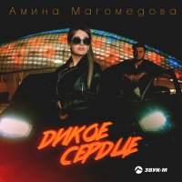 Амина Магомедова - Дикое сердце слушать песню