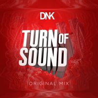 DnK - Turn Of Sound слушать песню