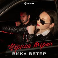 Вика Ветер - Черный мерин слушать песню