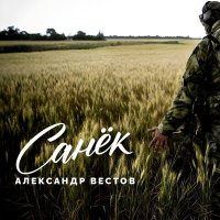 Александр Вестов - Санек слушать песню