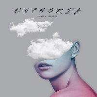 Andery Toronto - Euphoria слушать песню