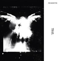 PXCKDEVTH - TRAIL слушать песню