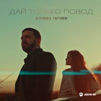 Алибек Гегиев - Дай только повод слушать песню