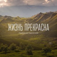 Гаджилав Гаджилаев - Жизнь прекрасна слушать песню