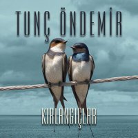 Tunç Öndemir - Kırlangıçlar слушать песню