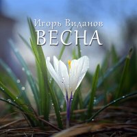 Игорь Виданов - Весна слушать песню