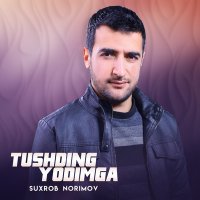 Suxrob Norimov - Tushding yodimga слушать песню