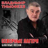 Владимир Тимофеев - Волюшка-воля слушать песню