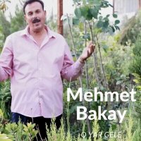 Mehmet Bakay - O Yar Gele слушать песню