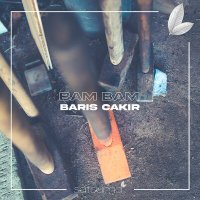 Barış Çakır - Bam Bam слушать песню