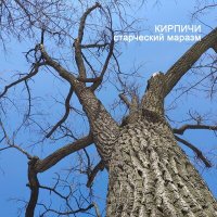 Кирпичи, Билли Новик, Владимир Бегунов, Радар - Blues de Moscou III слушать песню