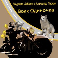 Владимир Песня - Волк одиночка слушать песню