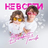 Elizabett, Tamik - Не в сети слушать песню