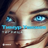 Тимур Увижев - Тигрица слушать песню