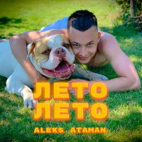 ALEKS ATAMAN - Лето лето (Dimas & D-Music Remix) слушать песню