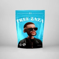 C4 - Free Zaza слушать песню