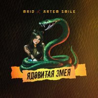 Mrid, Artem Smile - Ядовитая змея зацепила пацана слушать песню