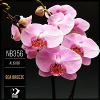 Alisher - Sea ​​Breeze (Original Mix) слушать песню