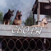 Андрей Оршуляк - Порвали струну на гитаре слушать песню