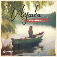 ТемирКош - Ивушки слушать песню